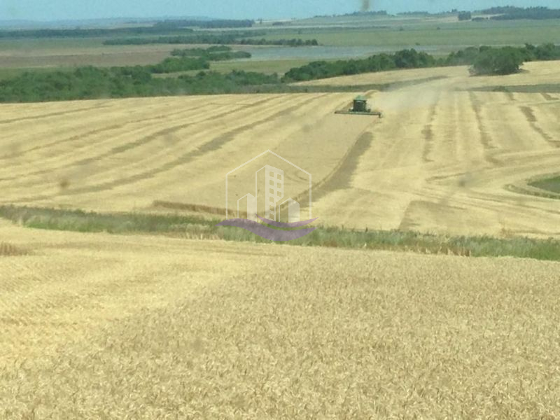 Fazenda, 1800ha, à venda em Cachoeira do Sul
