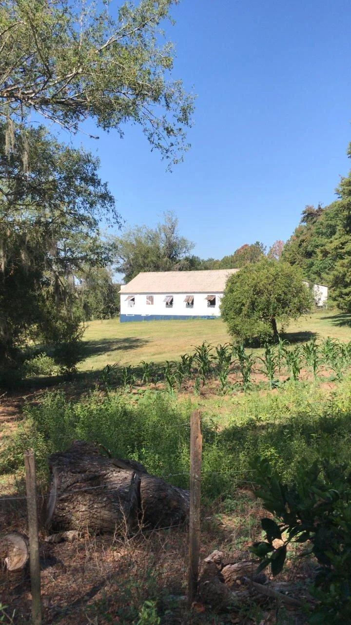 Fazenda, 1800ha, à venda em Bagé
