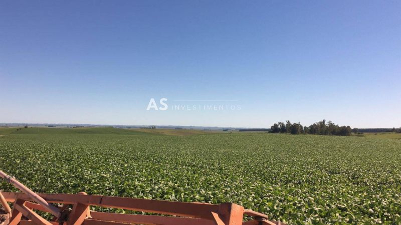 Fazenda, 420ha, à venda em Aceguá