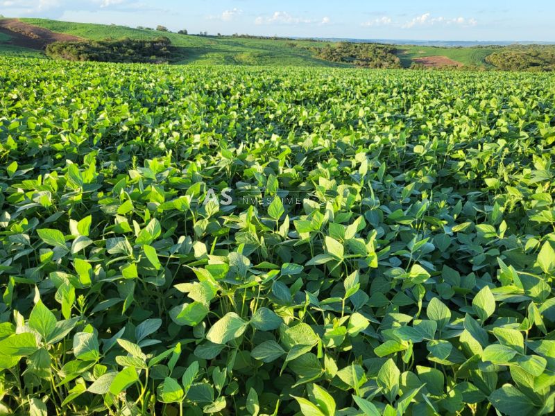 Fazenda, 288ha, à venda em Arroio Grande