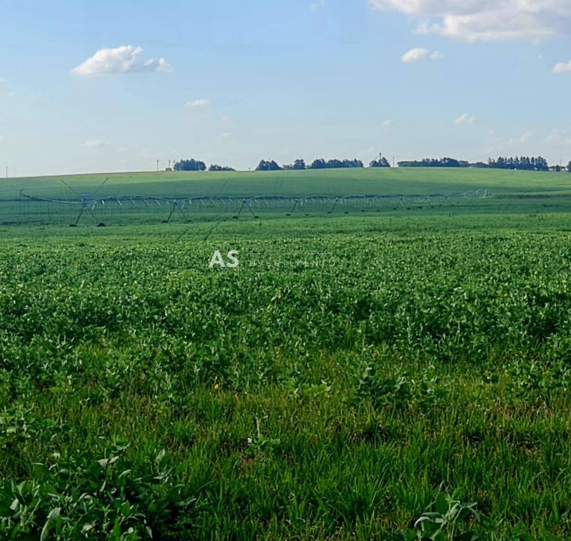 FAZENDA DE LUXO COM PIVÔ NA REGIÃO DOS ARAS ENTRE BAGÉ E ACEGUÁ