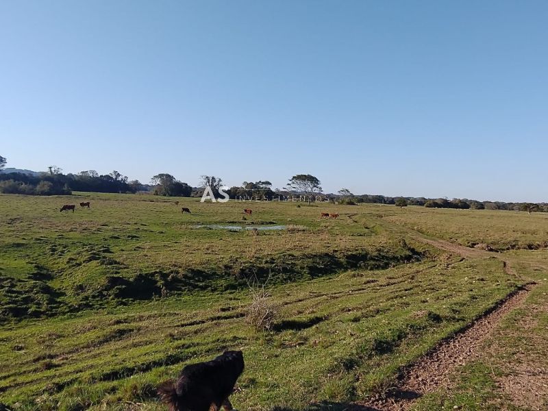 Fazenda, 410ha, à venda em Cristal