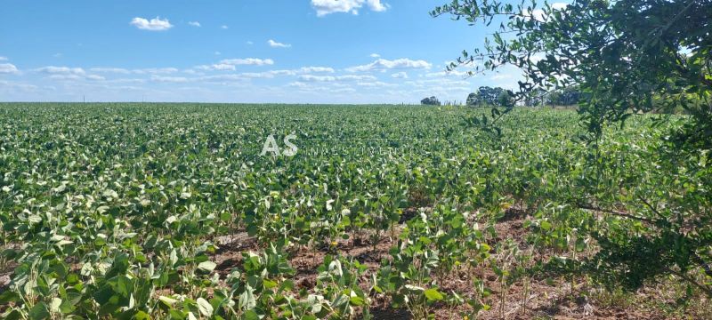 Fazenda, 308ha, à venda em Lavras do Sul