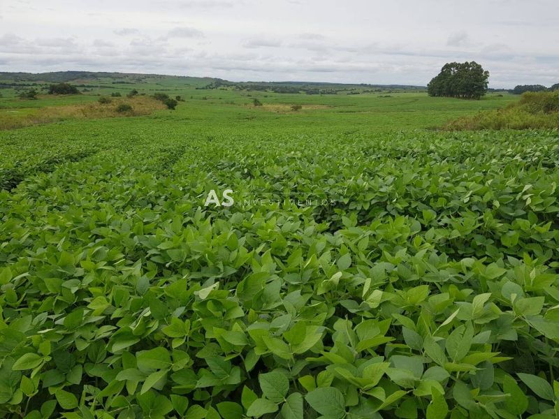 Fazenda, 875ha, à venda em Pedras Altas